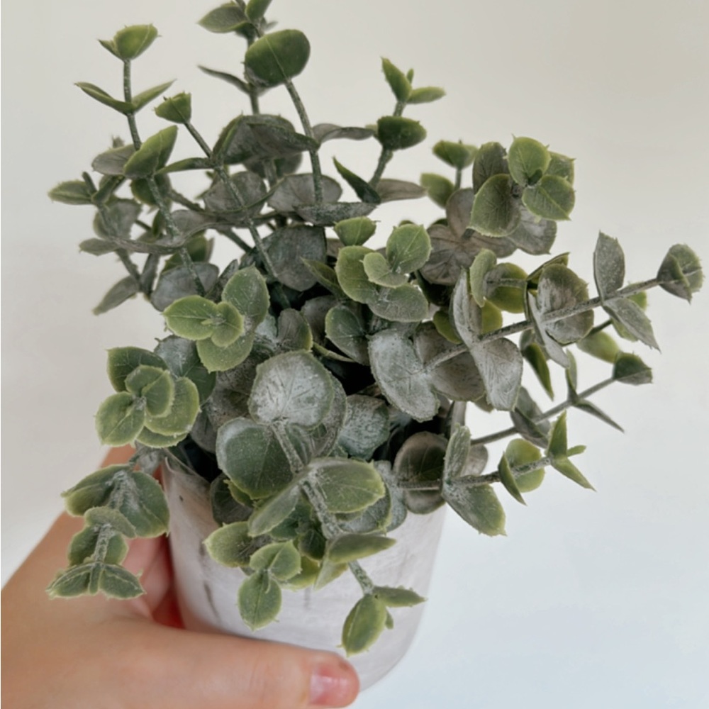 Faux plant eucalyptus in concrete planter